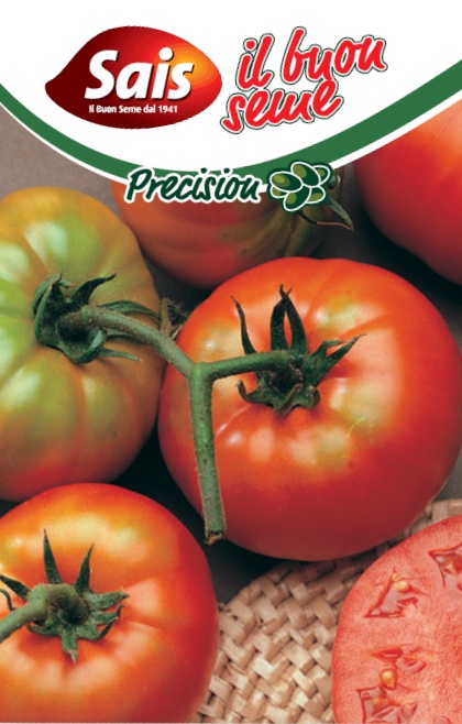 rajciak salomone.jpg